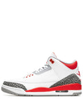 Air Jordan 3 Retro