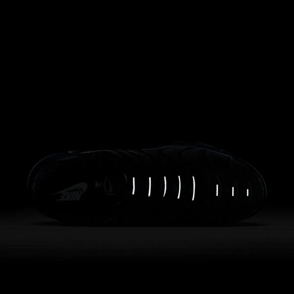 AirMax Plus TN Triple Black